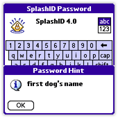 Set a hint to remind you what that strong password might be on the Palm Pilot